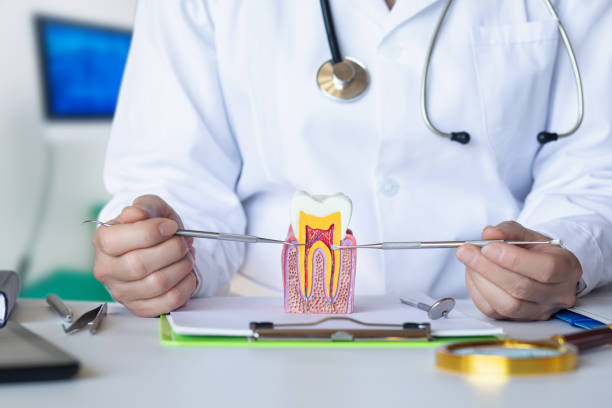Best Mobile Emergency Dentist in Sonterra, TX